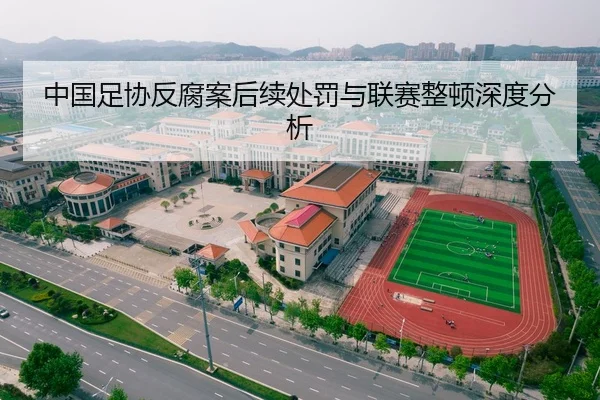 中国足协反腐案后续处罚与联赛整顿深度分析（hth）